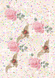 193.gif
