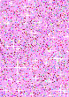 208.gif