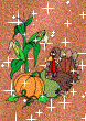 233.gif