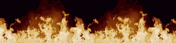 73.gif