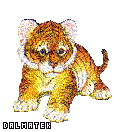 107.gif
