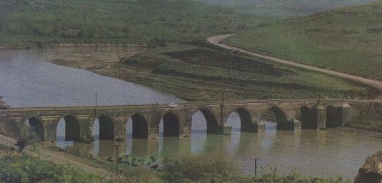 1105.jpg