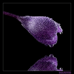 127.gif