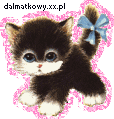 156.gif