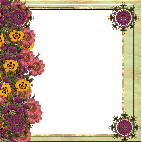219.gif