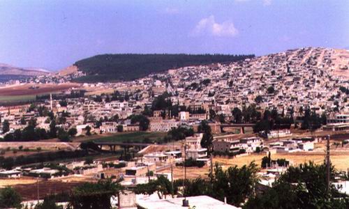 474.jpg