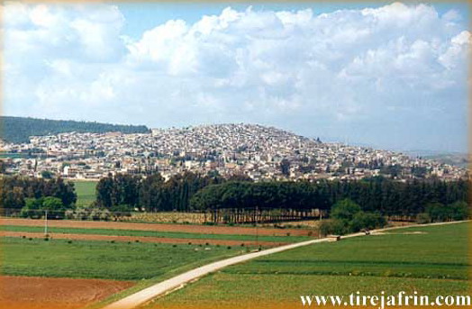 476.jpg