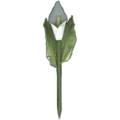 618.jpg