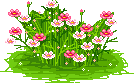 206.gif