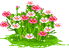 207.gif