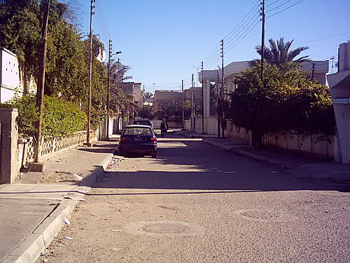 219.jpg