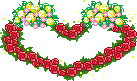 224.gif