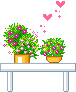229.gif
