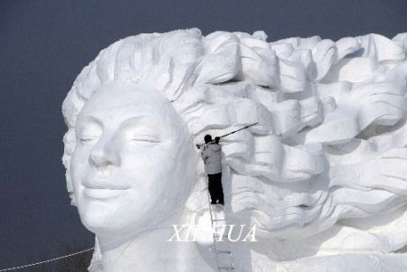 62.jpg