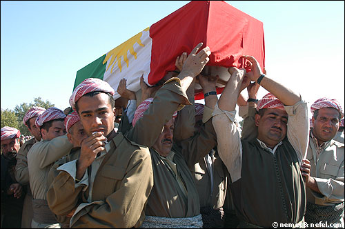 1455.jpg