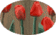 238.gif
