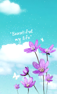 437.gif