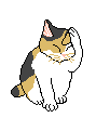 478.gif