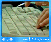 221.gif
