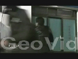 229.gif