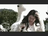 230.gif