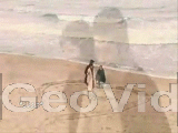 240.gif