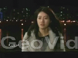 241.gif