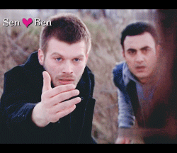 256.gif