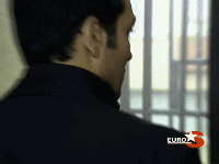 259.gif