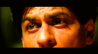 6.gif