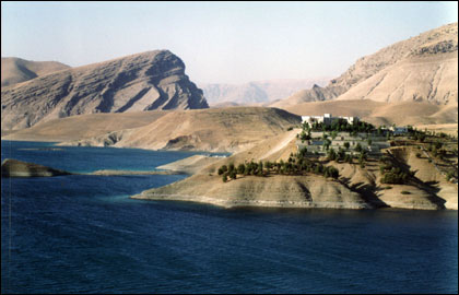 938.jpg