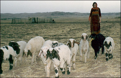 939.jpg