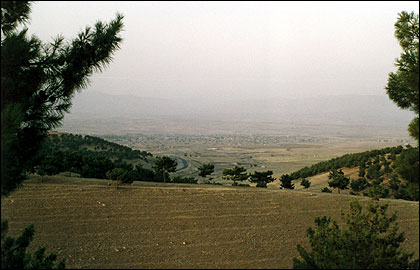 940.jpg