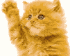 137.gif