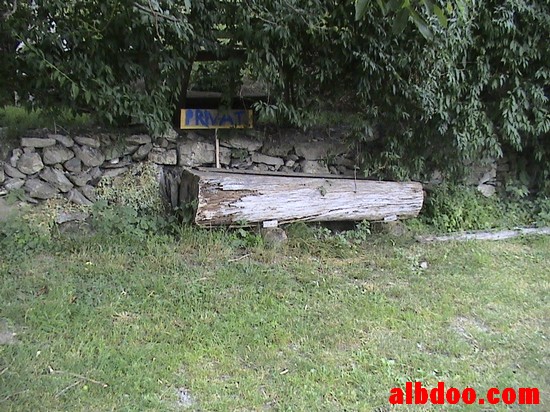 1006.jpg