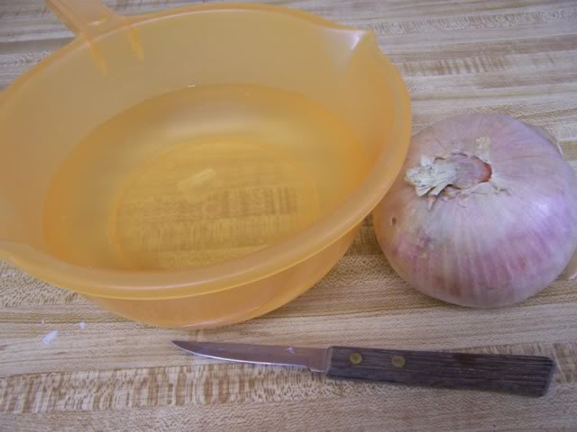 249.jpg
