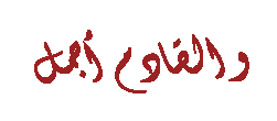 254.gif