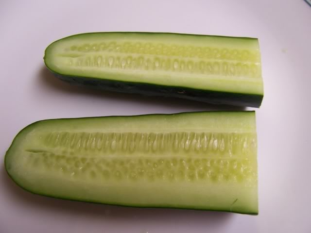 259.jpg
