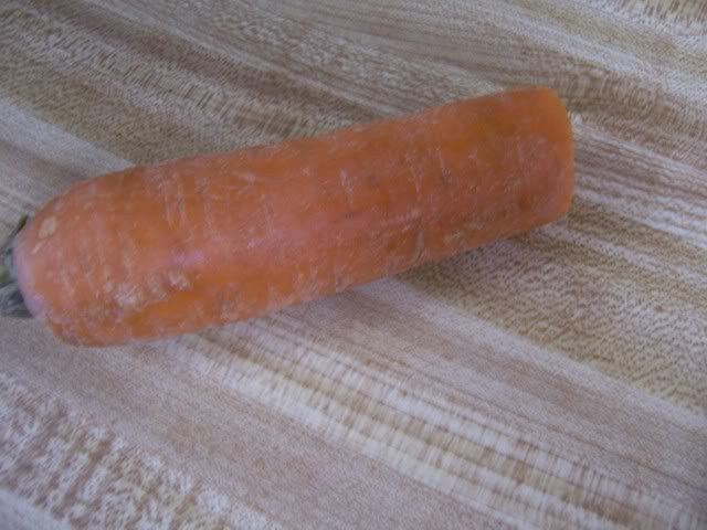 265.jpg