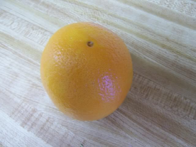 283.jpg