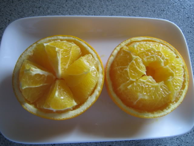 292.jpg