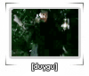 335.gif