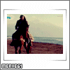 371.gif