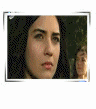 381.gif
