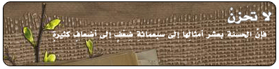 498.gif