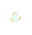 539.gif