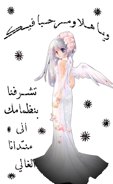 558.gif