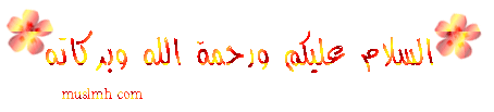 564.gif