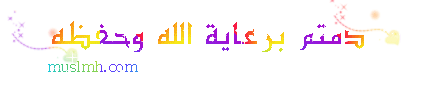 566.gif