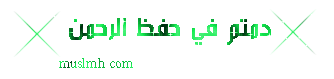568.gif